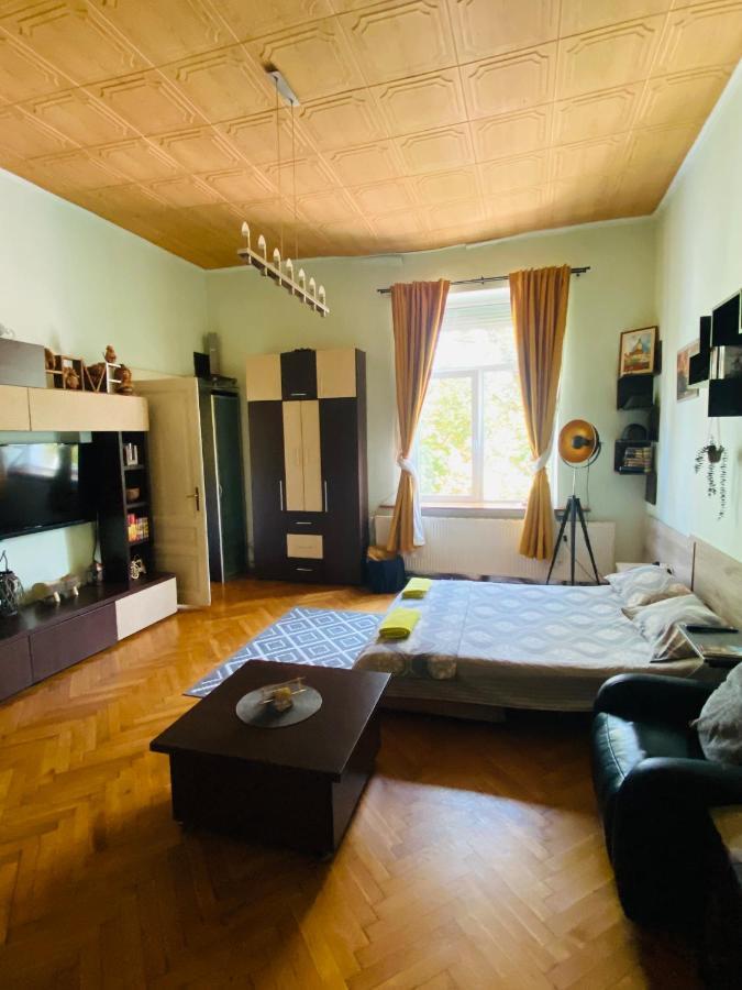 Central 2 Bedrooms Apartment Брашов Екстер'єр фото